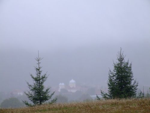 stoica